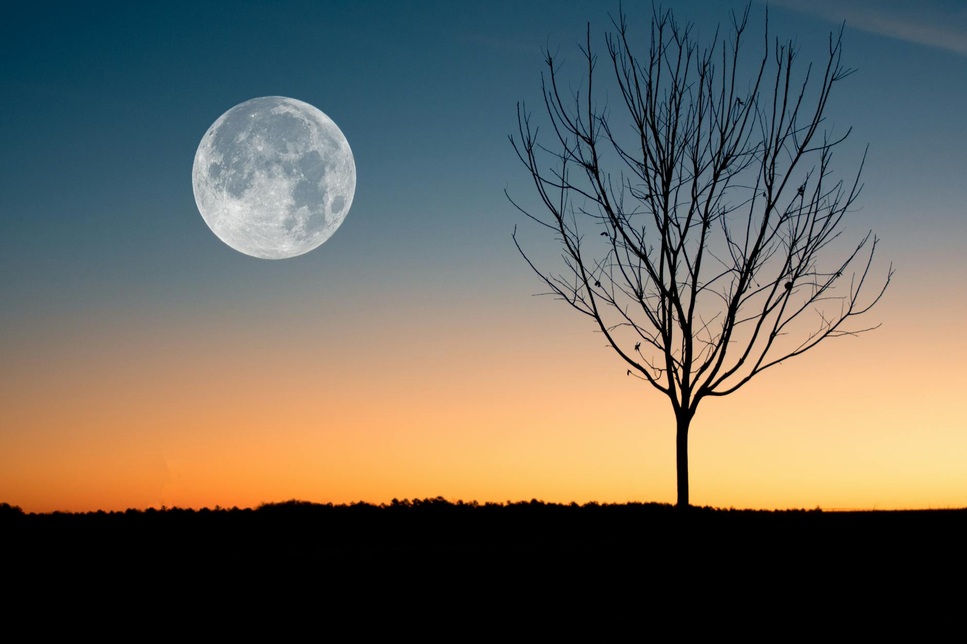 Gemini Full Moon 13° 03’ – 4 December 2025